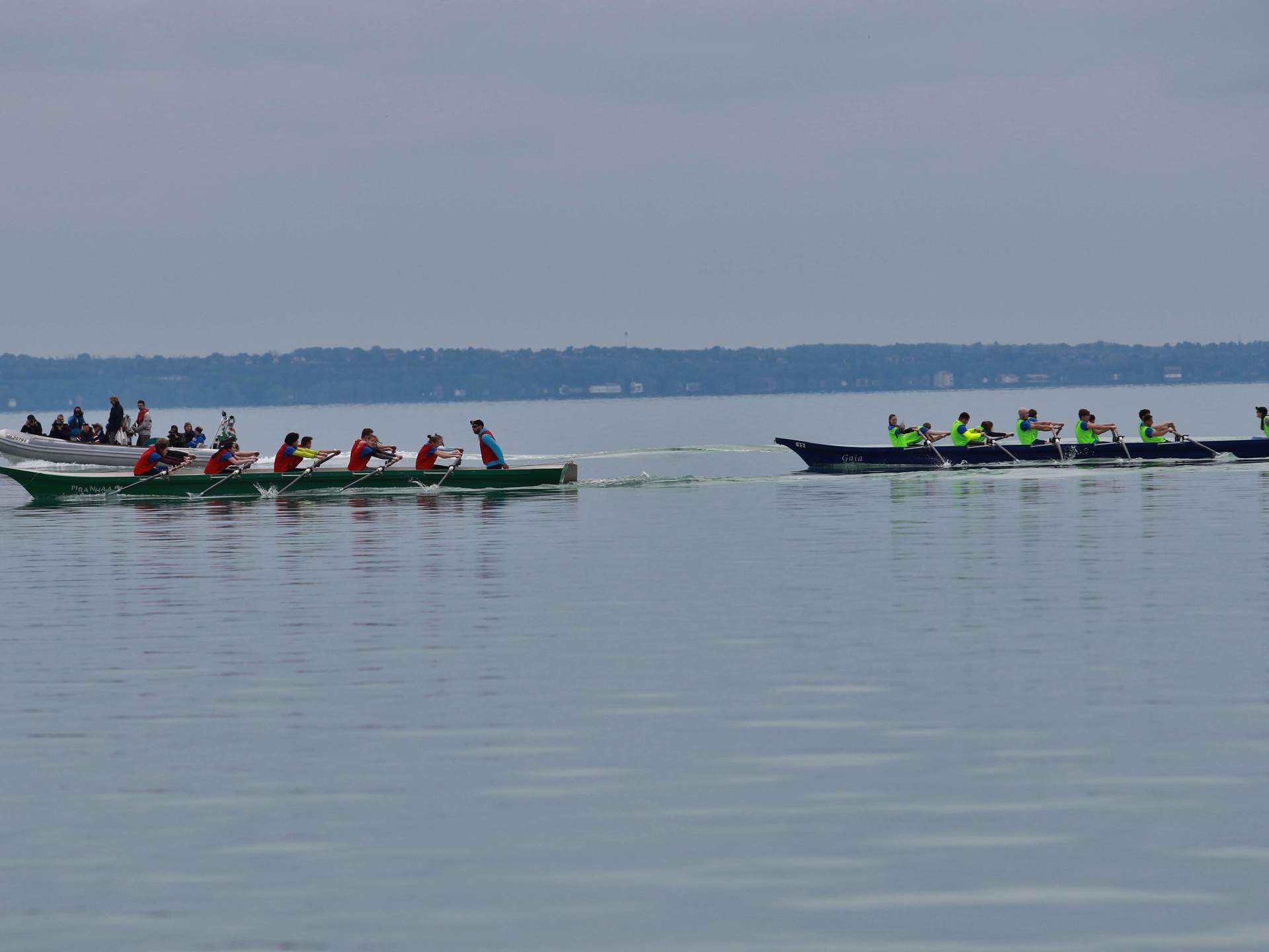 Balaton Regatta 2019