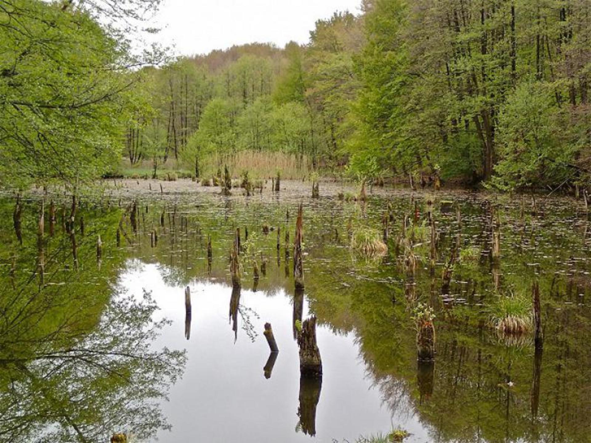 ÚJRA! Túrázz velünk tesi aláírásért!