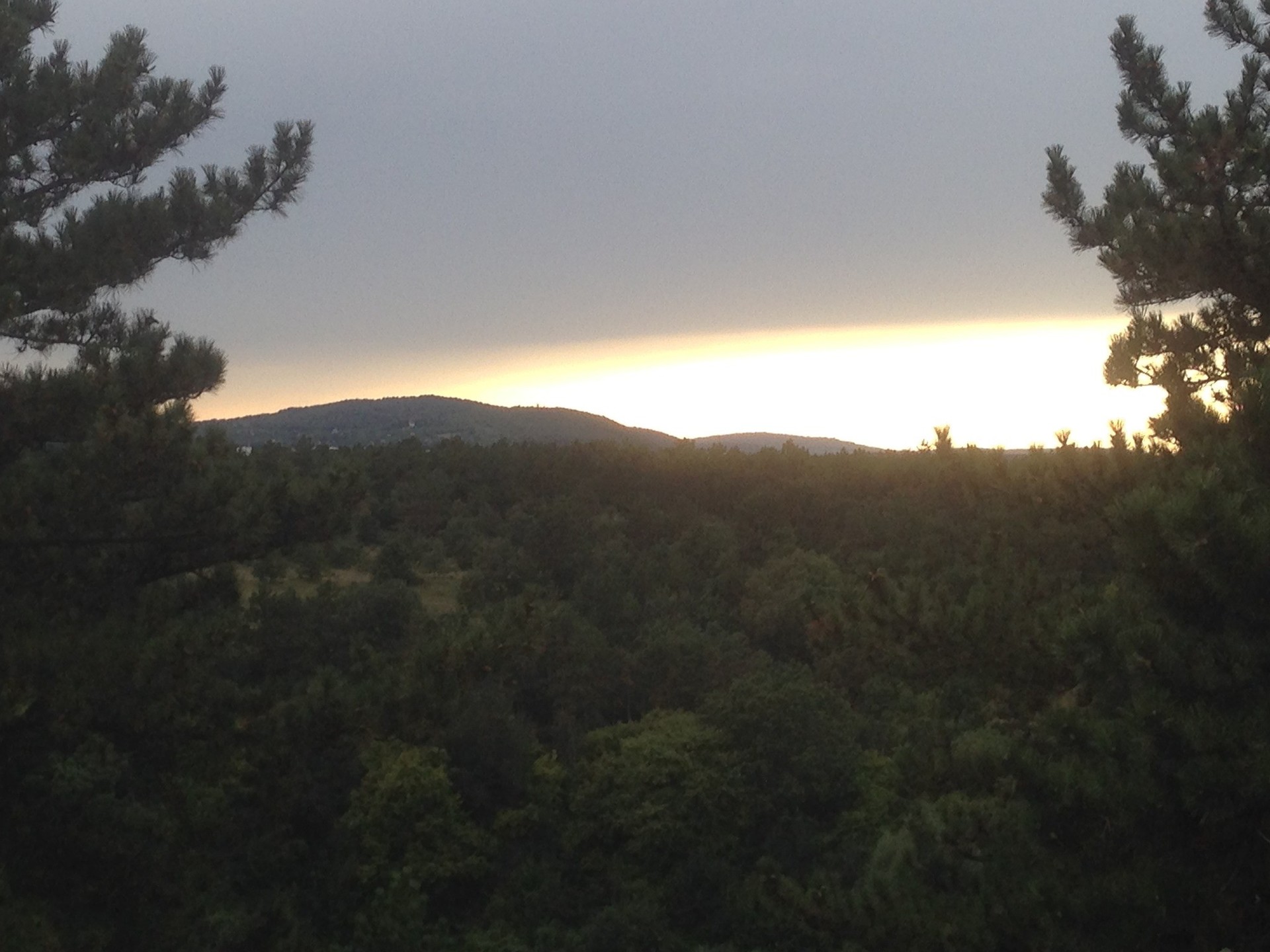 Egyetemista zarándoklat