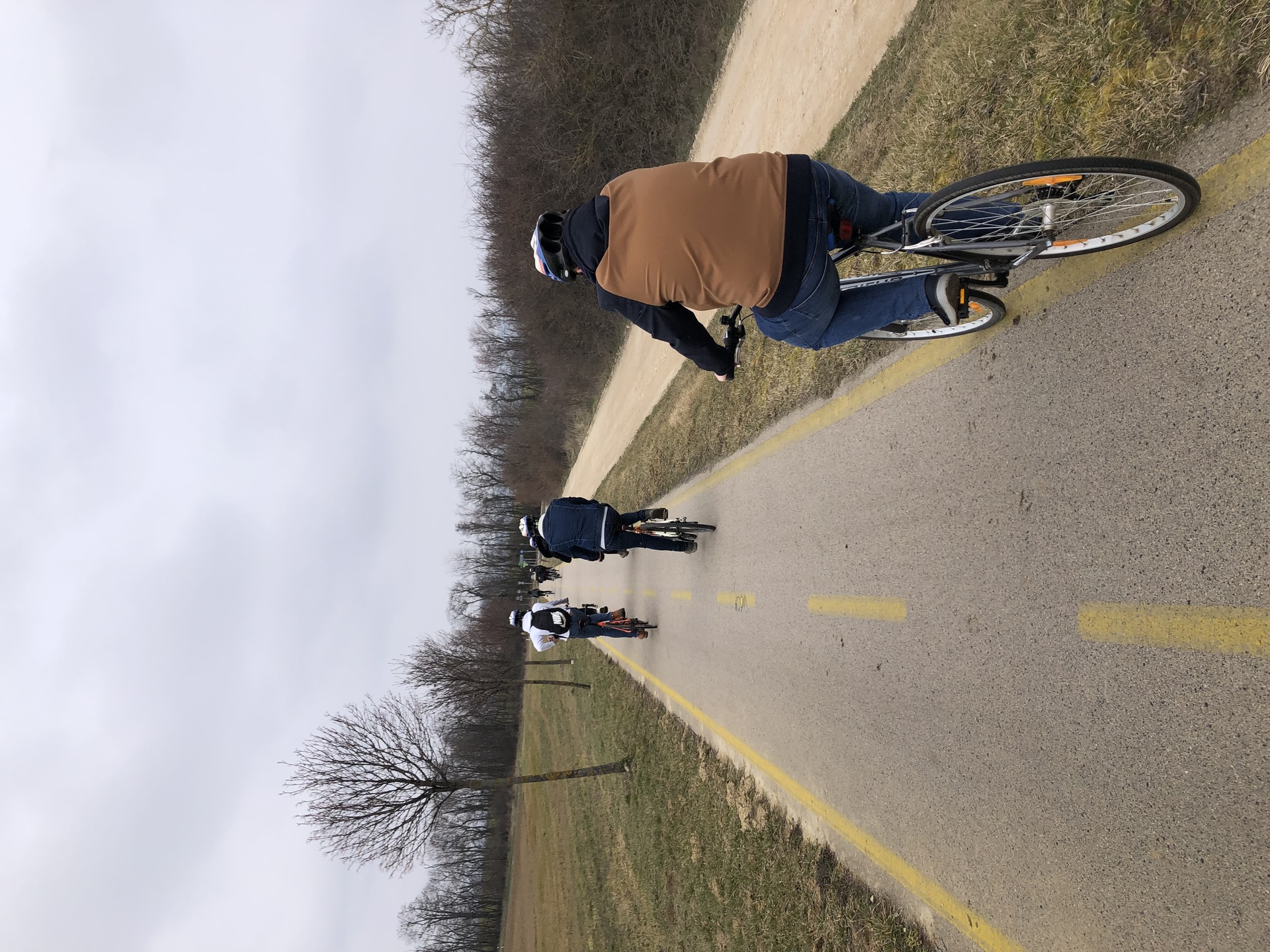 Állatmenhelyi önkénteskedés elindult