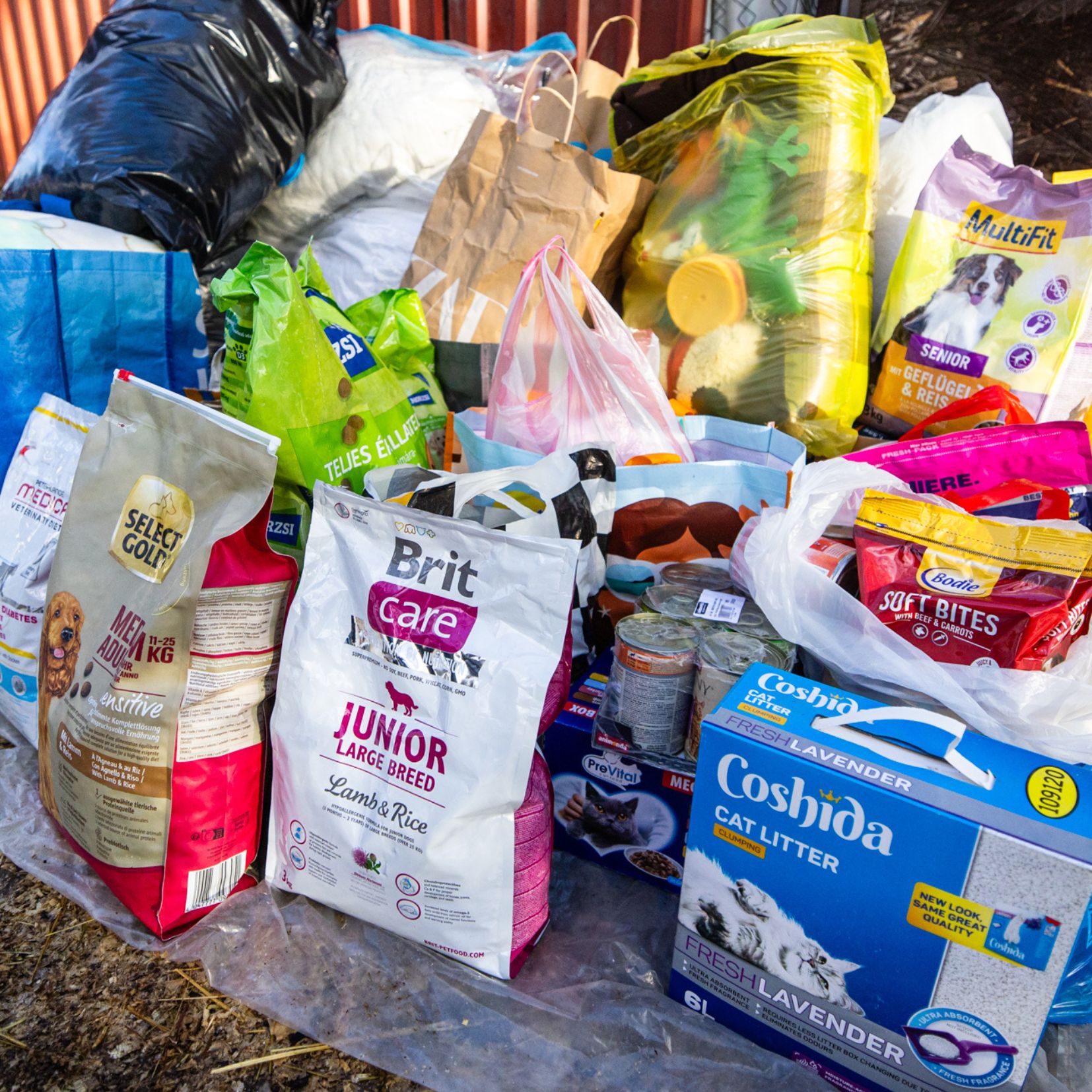 Karácsonyi adomány átadás