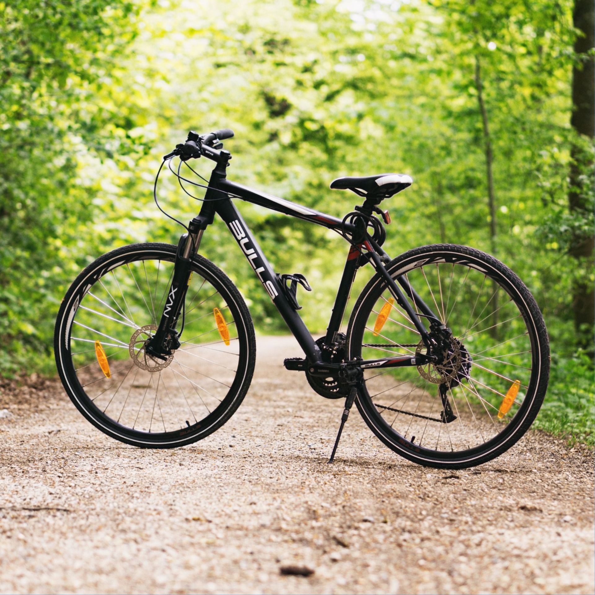 "Semester kick-off" bike ride / 27 September