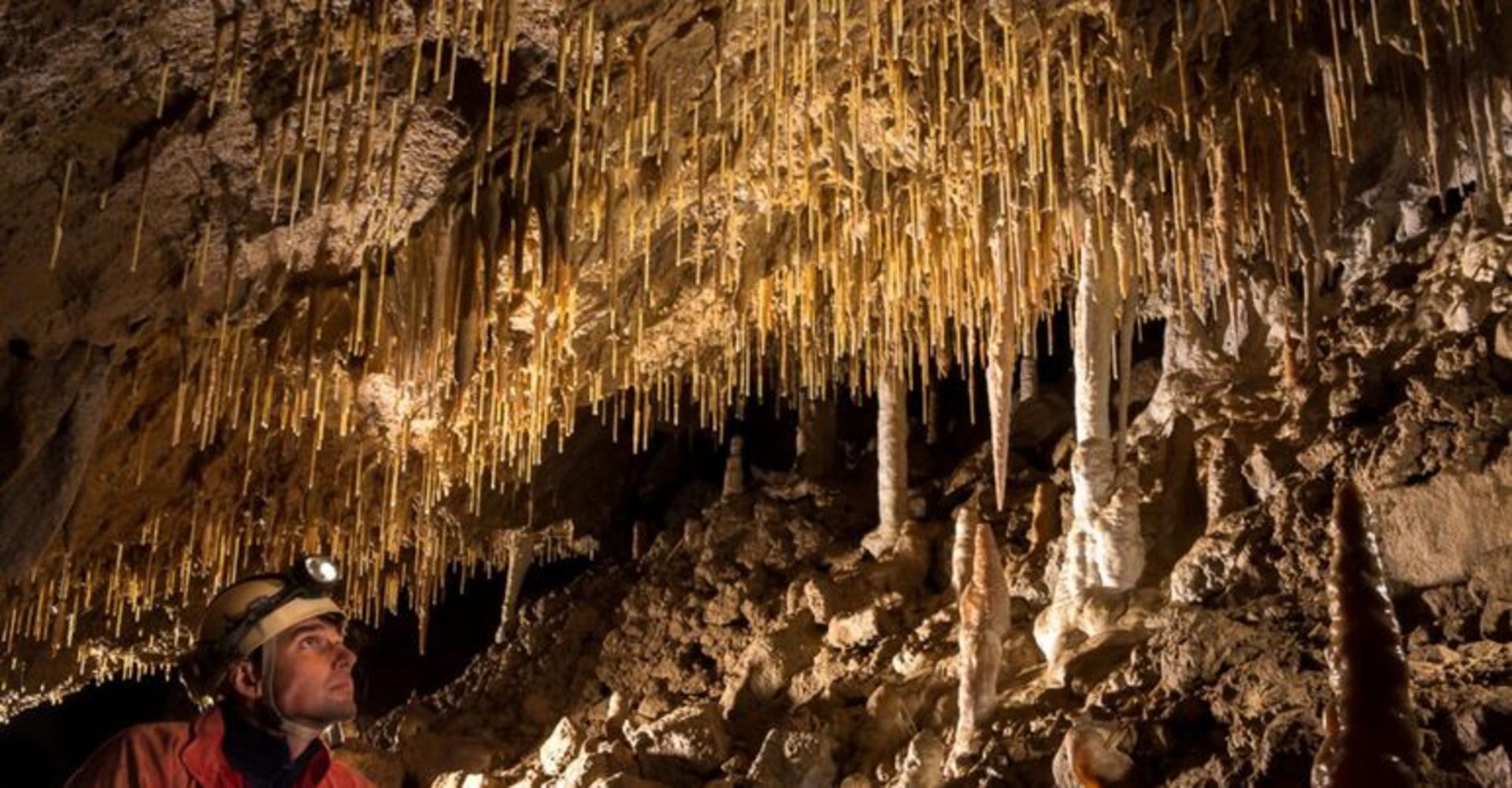 2023. február 25., VEBE Csodabogyós-bg túra