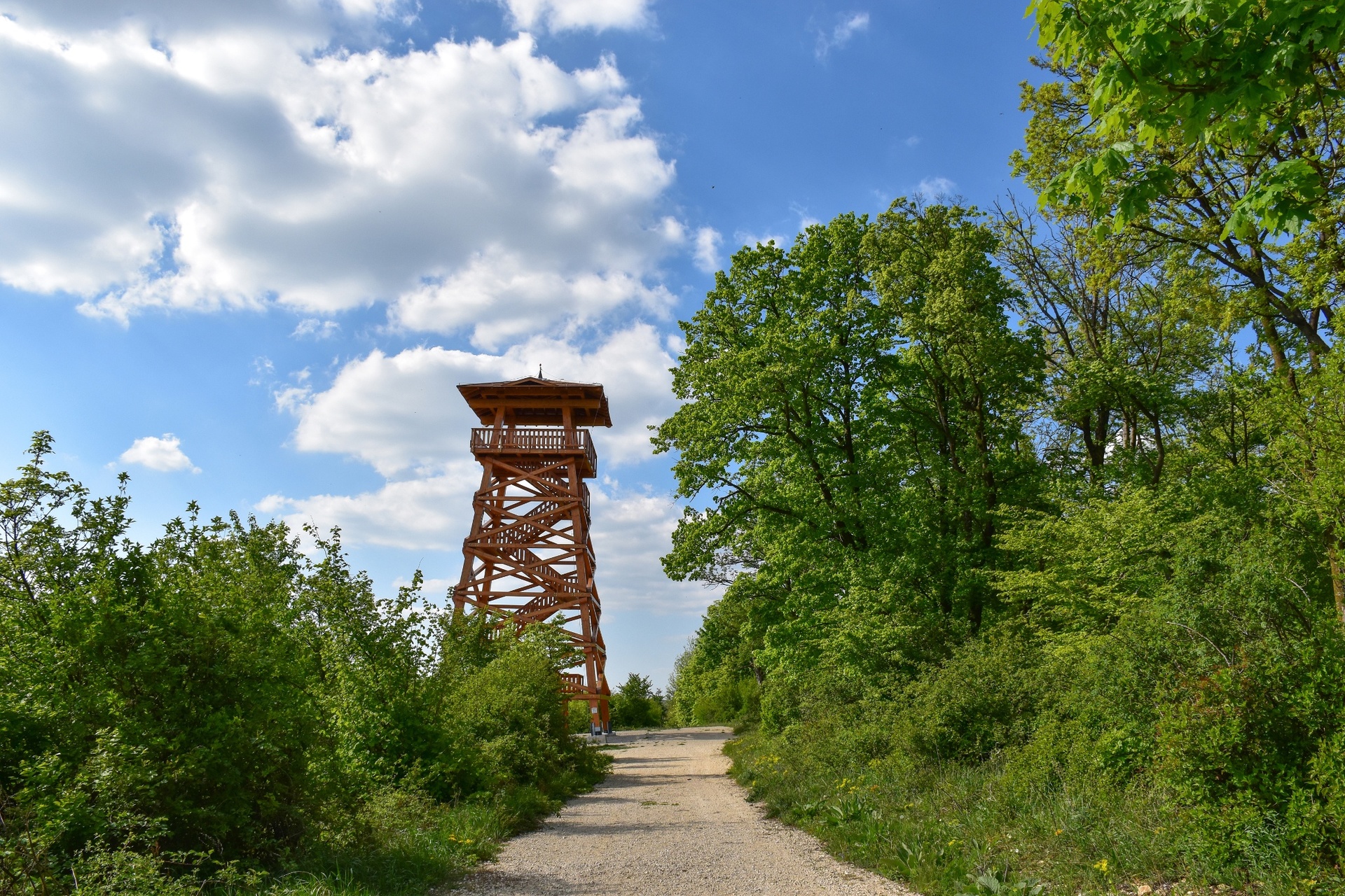 First hiking tour of 2023 to Fekete István Lookout tower on 25th February