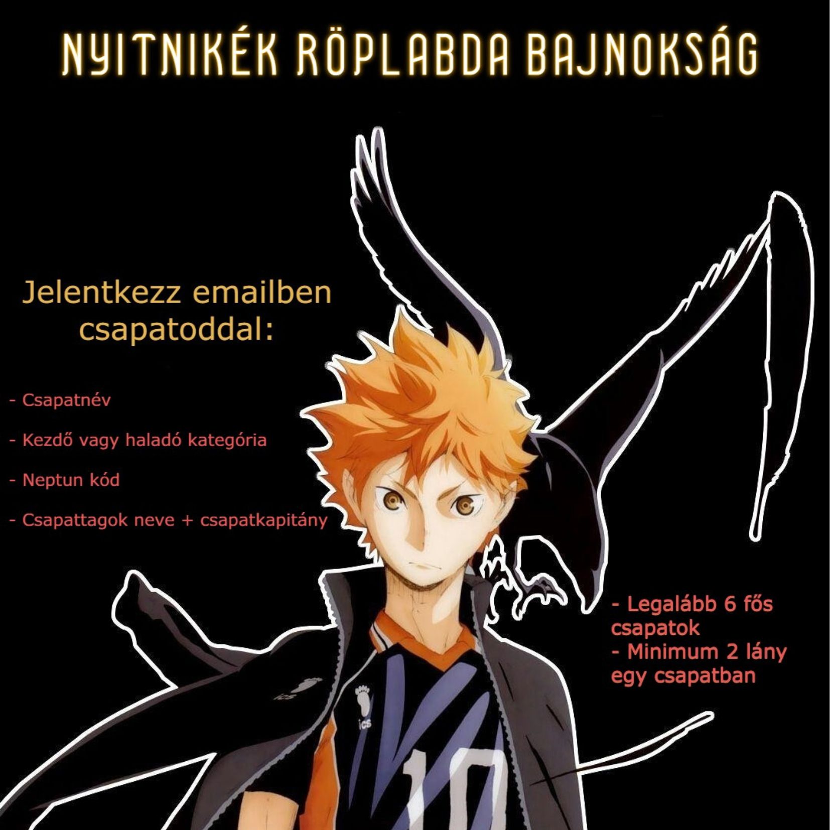 NYITNIKÉK RÖPLABDA BAJNOKSÁG