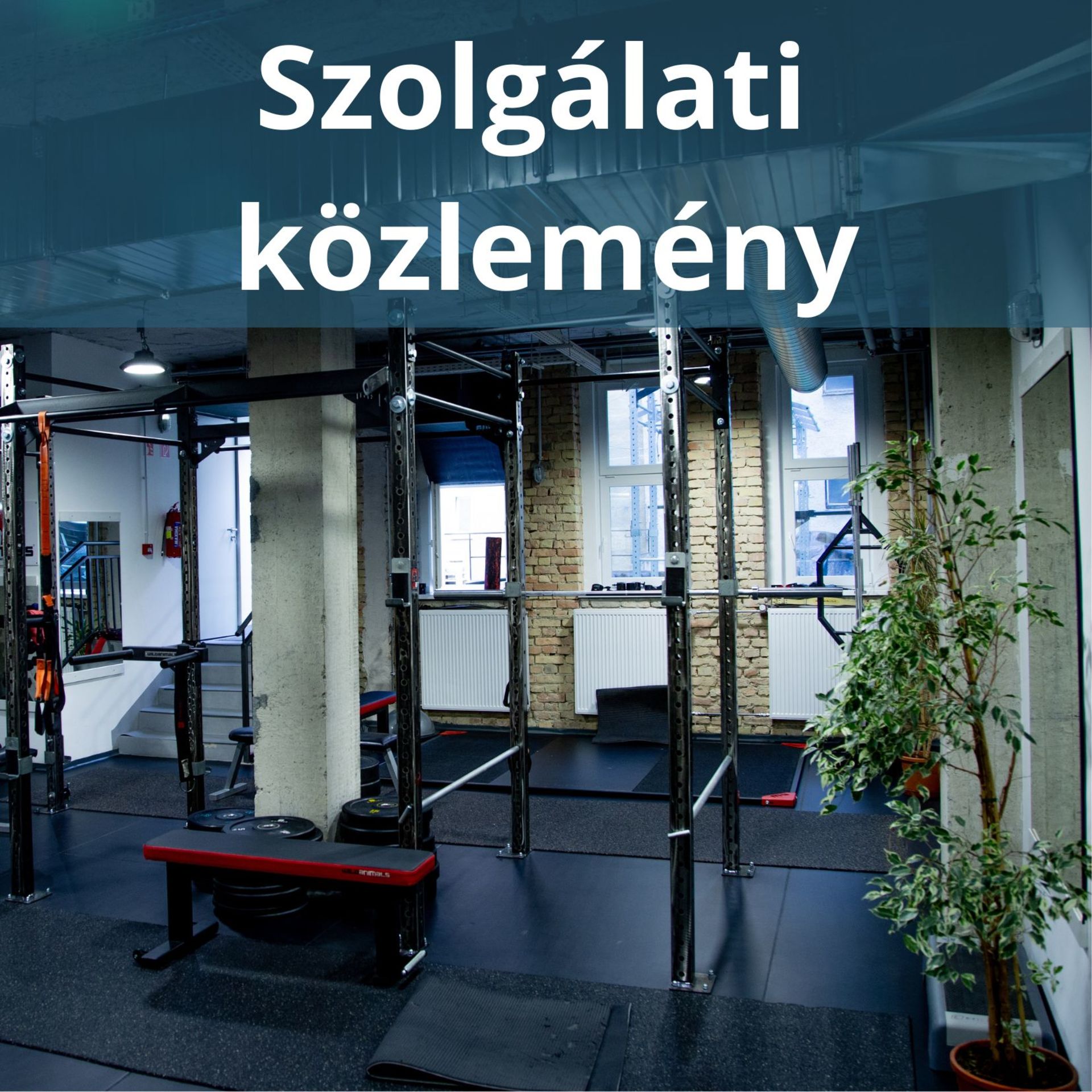 szolgalati kozlemeny