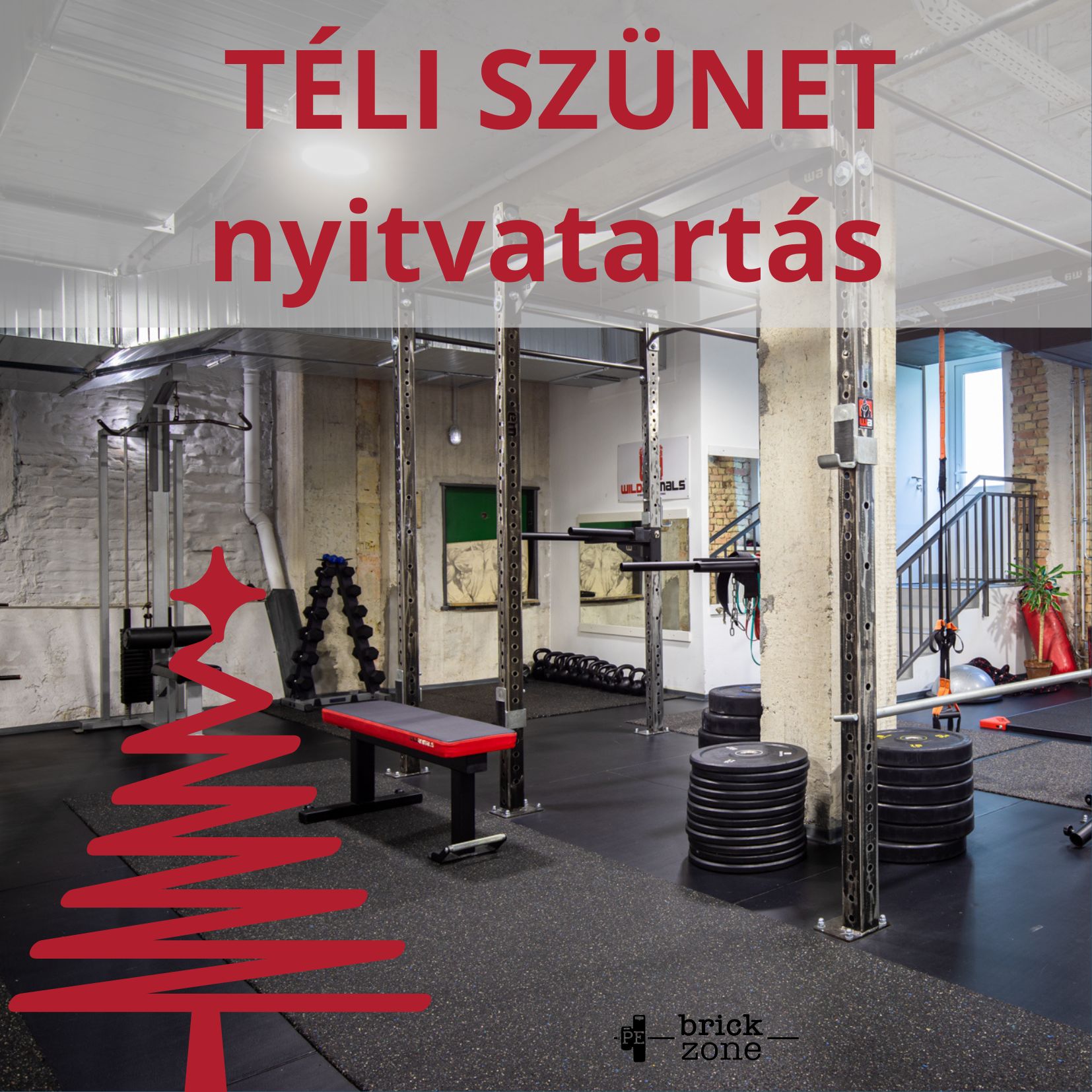 Téli szünet - TSI nyitvatartás