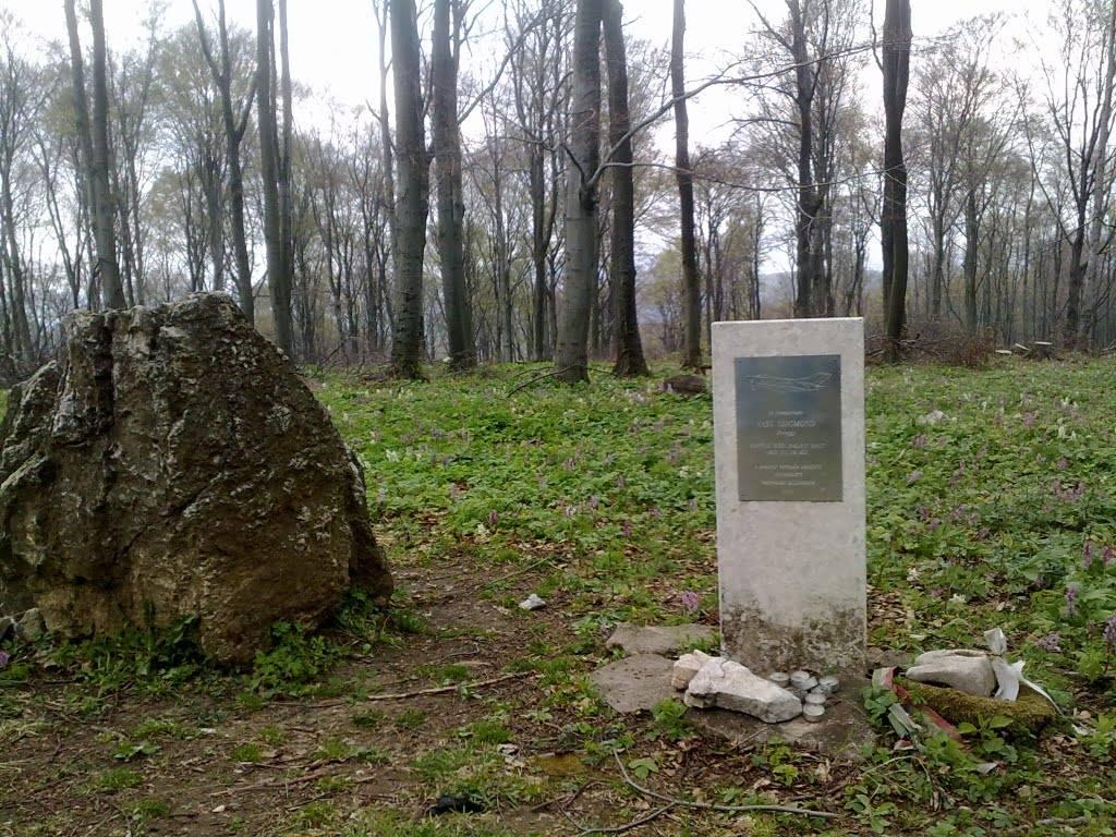 New hiking tour on 25th March!