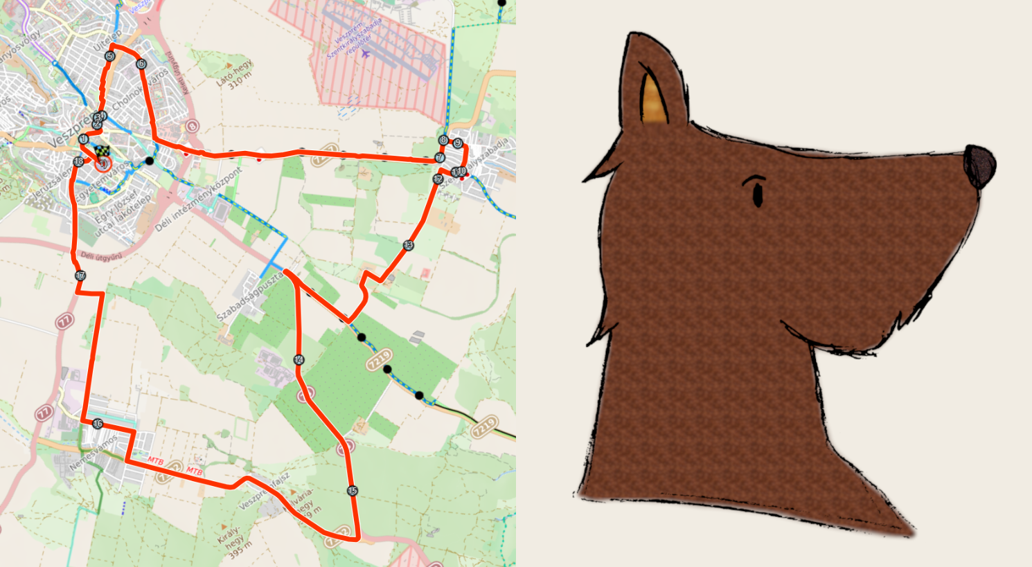 „Kutya egy túra" a veszprémi agglomerációban / Március 7.