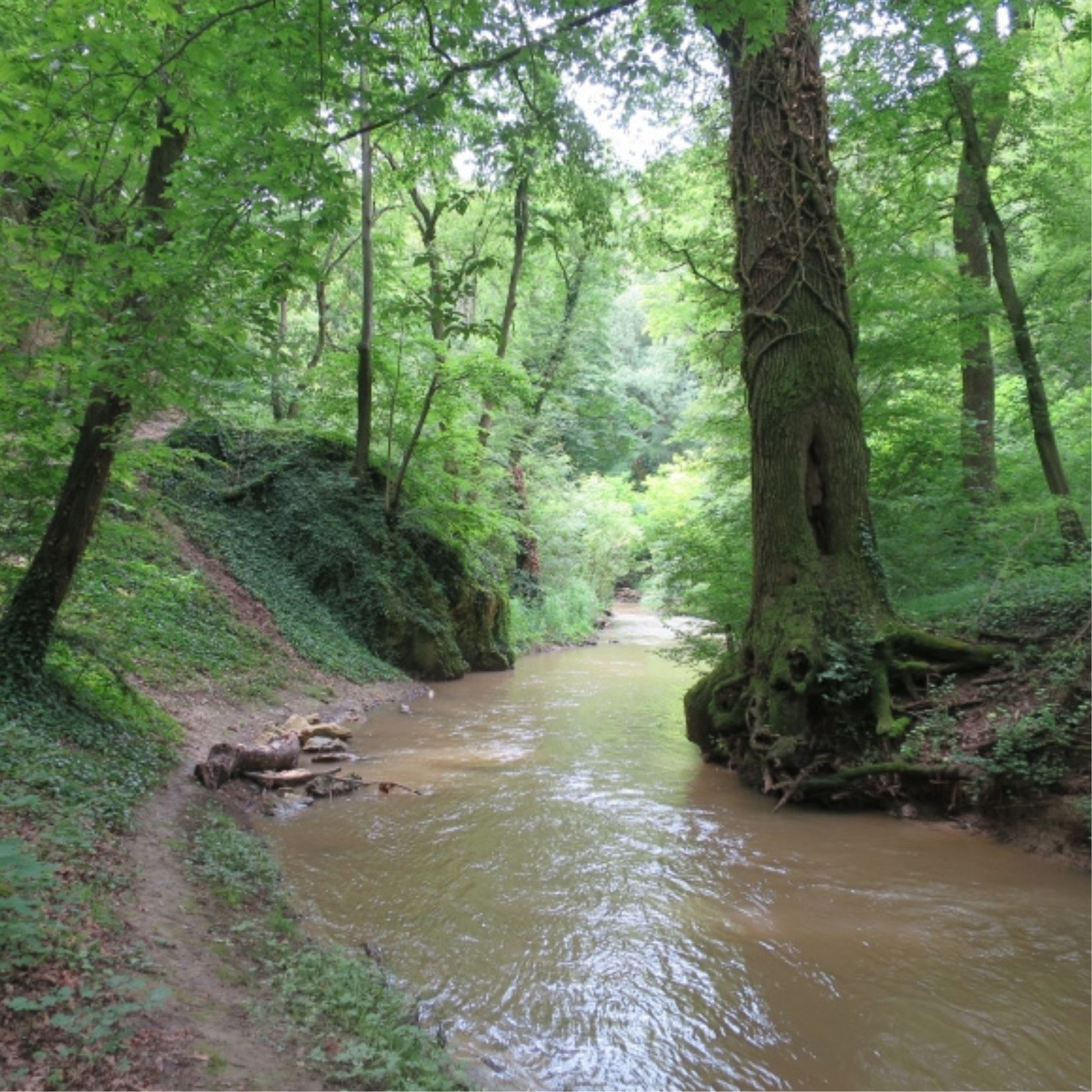 Gaja Gorge hiking tour