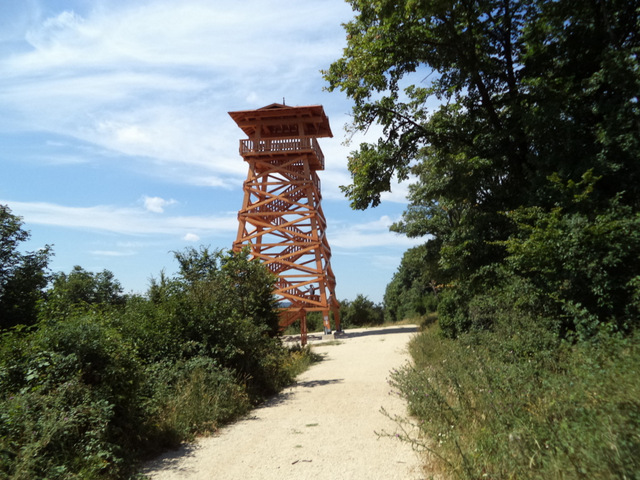 Kerékpártúra a madarak és fák napján / Május 10.