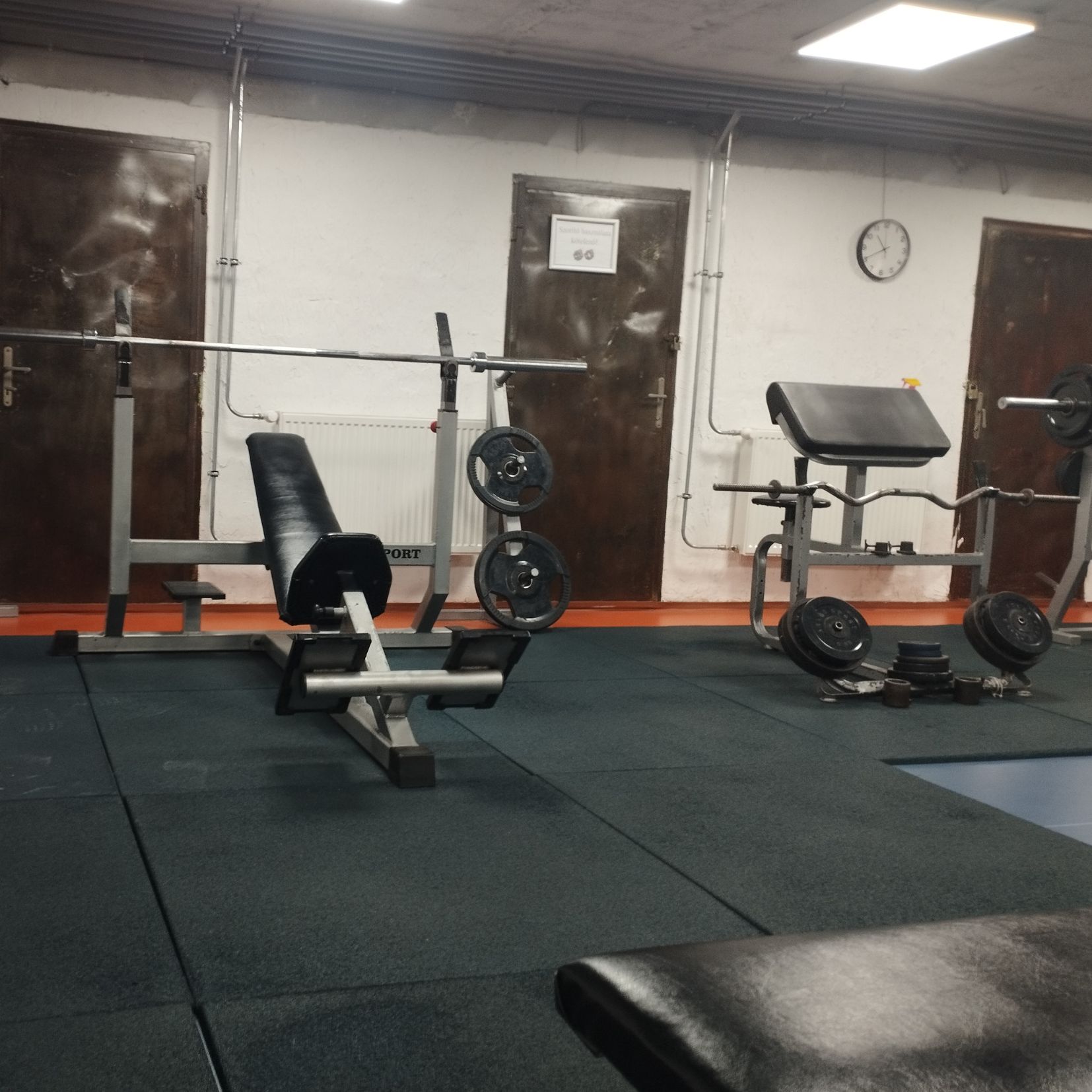 PE TSI bz bovites 2025