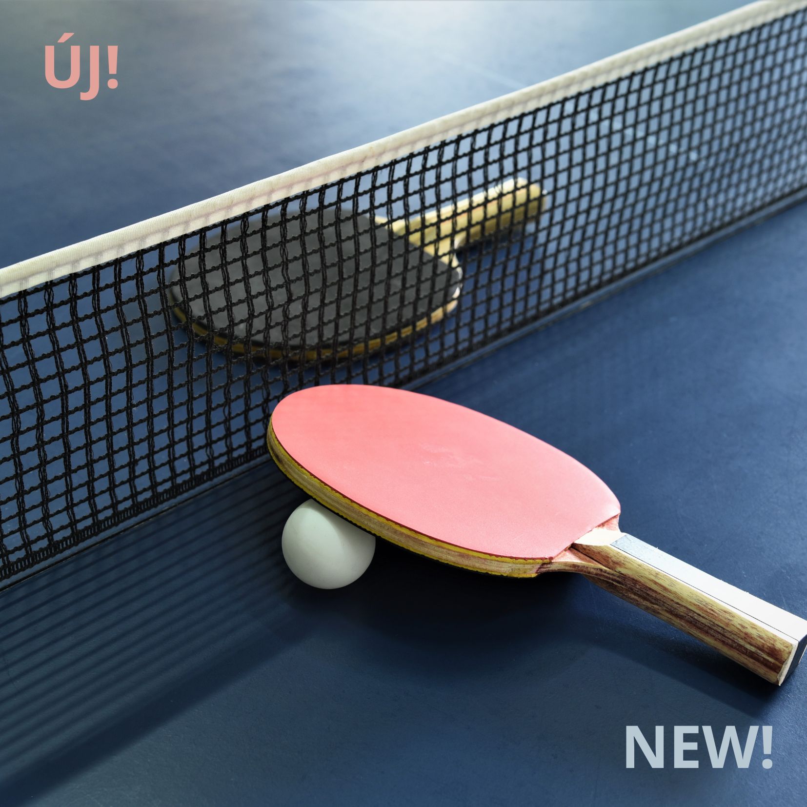 Table tennis NEW
