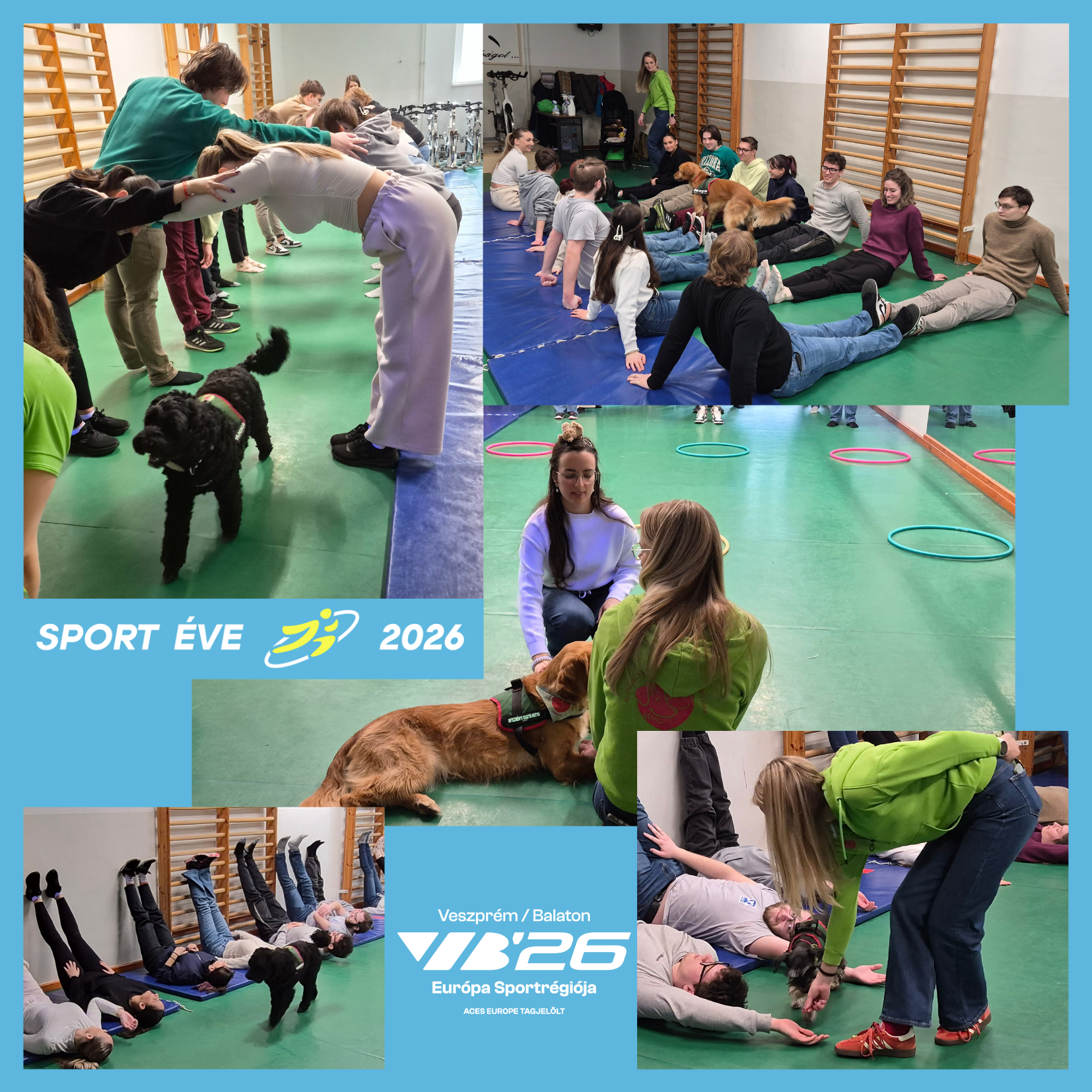 PE TSI kutyusos sportr