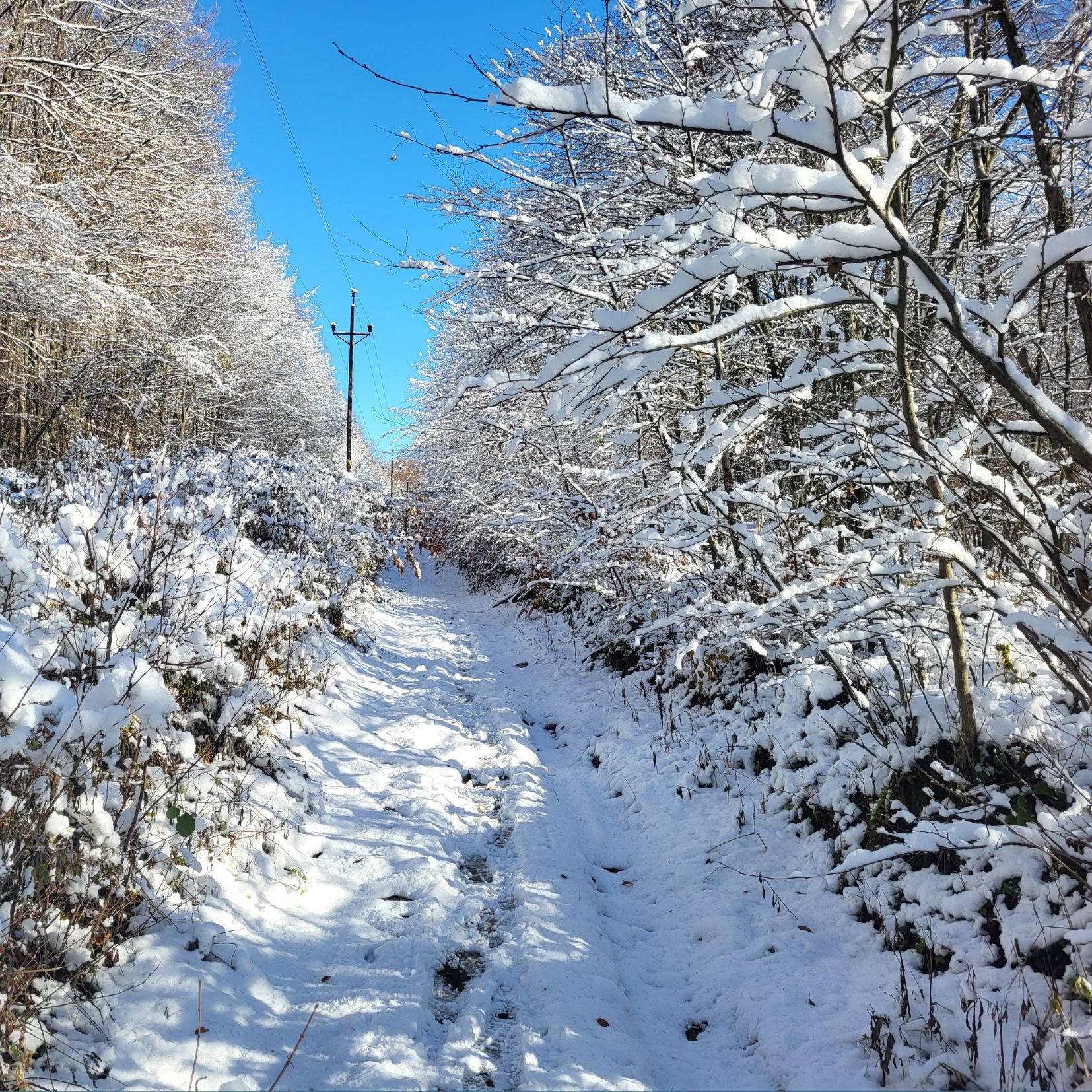 Balatonalmádi túra 01.17. 