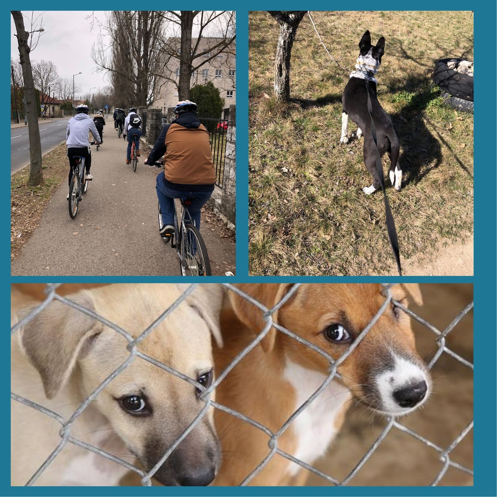 Önkénteskedni jó!